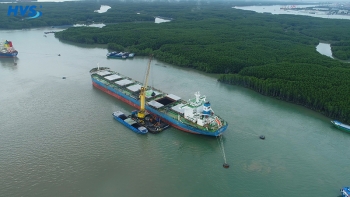 Coal transshipment operations are carried out by FOTP Langbian at midstream buoys BP-01 in Go Gia.