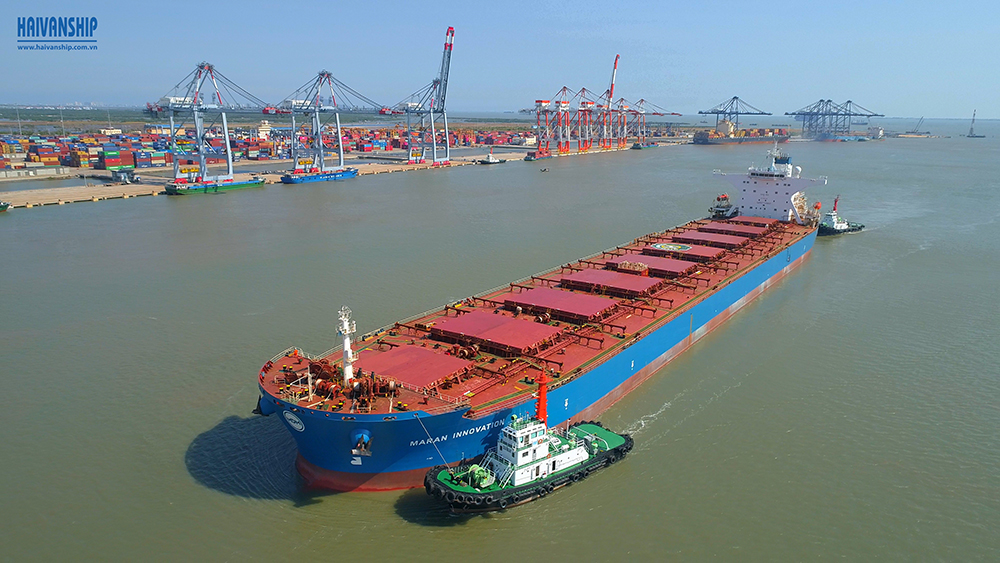 Discharging Coal in vietnam Discharging coal in vietnam